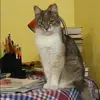Отзыв от Виктория Петровская
